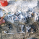 An unidentified crew member from the University of Kansas poses next to the dig site in Wyoming in 1998. A dinosaur tail sits atop the giant foot bones.